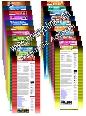 Product picture Megasale Adsense 12 niche site
